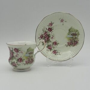 Queens Rosina Fine Bone China Tea Cup Saucer Pink Rose Floral Garden Urn England